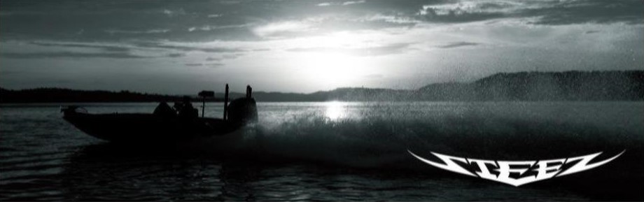 Спиннинг DAIWA STEEZ (CASTING)